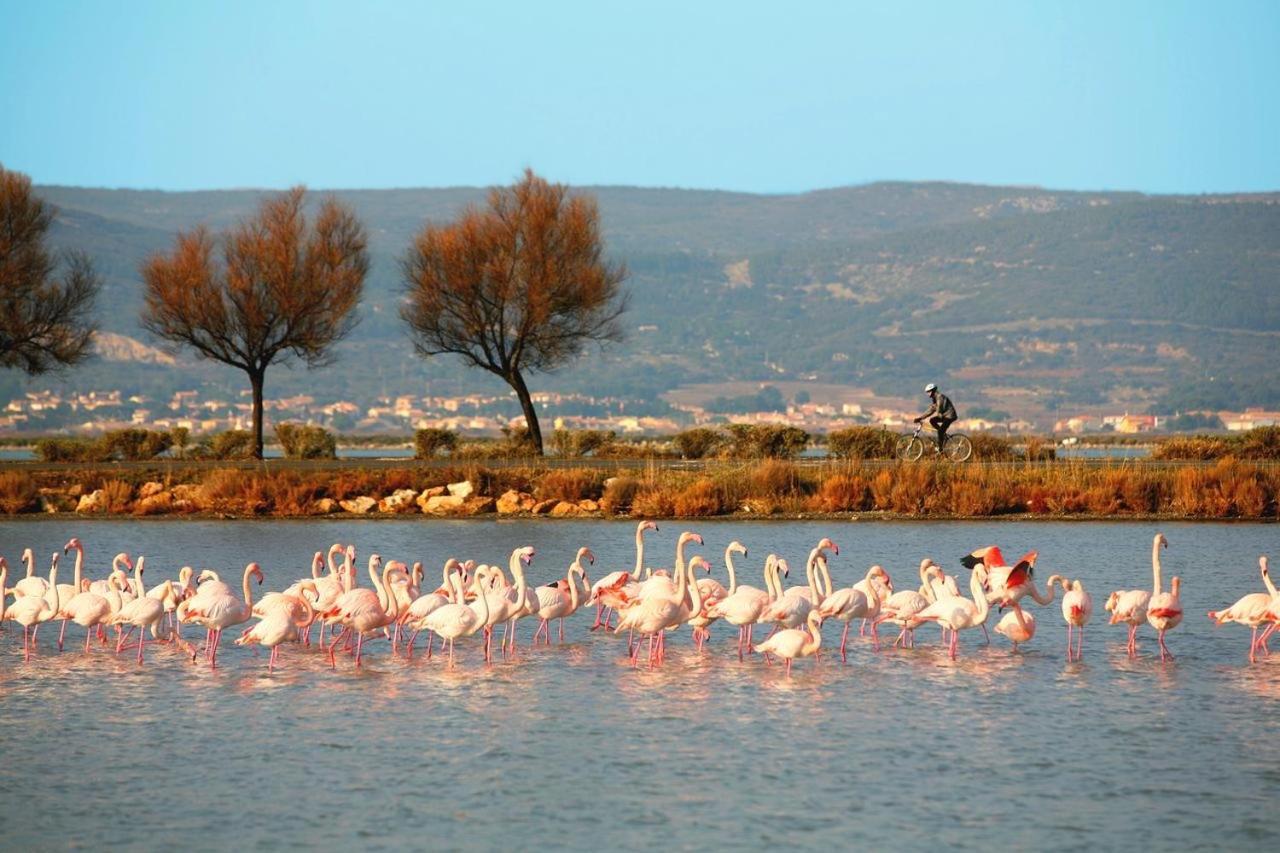 Le Cosy Des Goelands, T2 Proche De La Mer Frontignan ภายนอก รูปภาพ